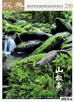 經典電子雜誌第250期