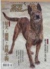 經典電子雜誌第70期
