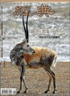 經典電子雜誌第98期
