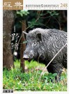 經典電子雜誌第248期