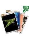 經典電子雜誌訂閱6期(第325-330期)